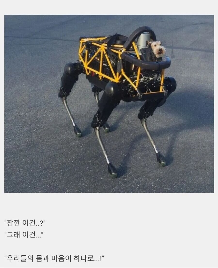 클리셰 로봇X강아지_2.png