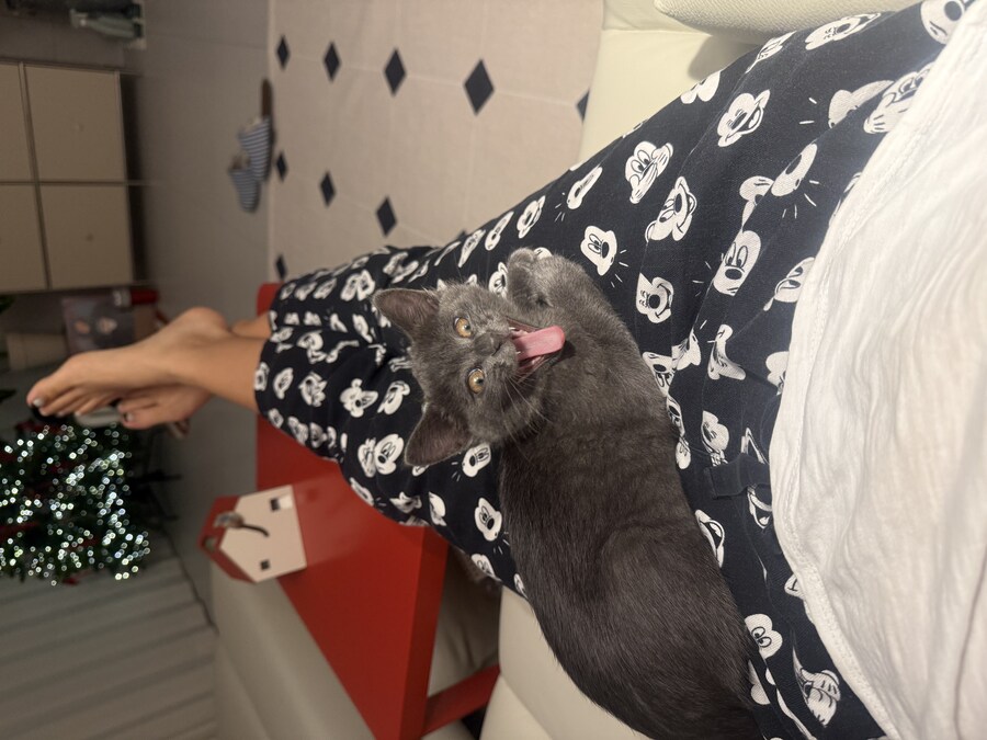 줍냥이 하쿠_12.jpg