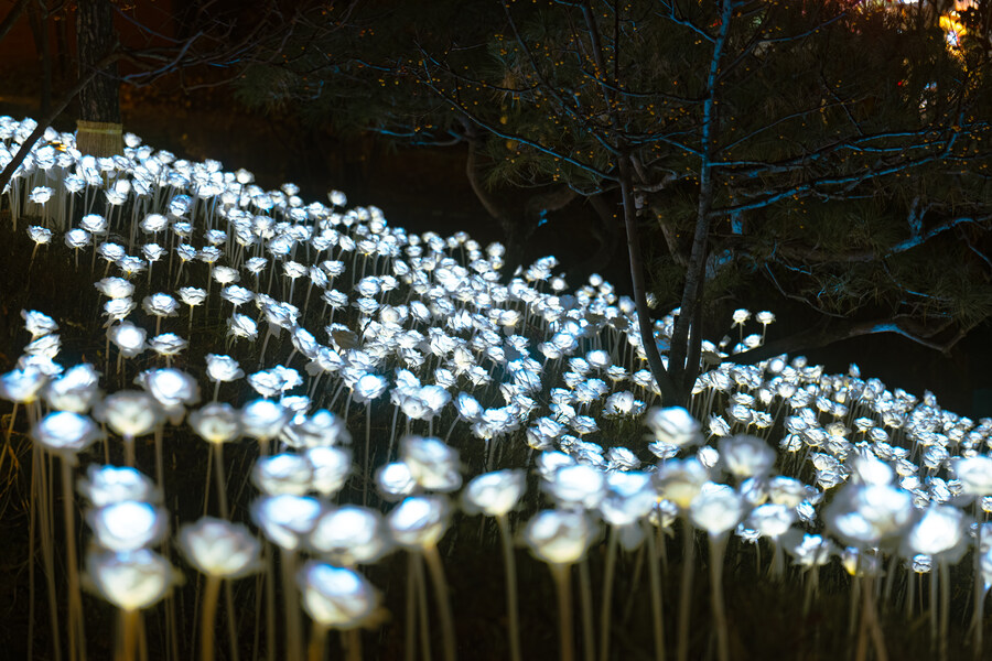 서울 명동성당_4.jpg