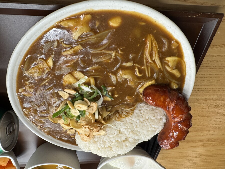 금요일에 못먹은 카레 오늘 먹습니다._2.jpg