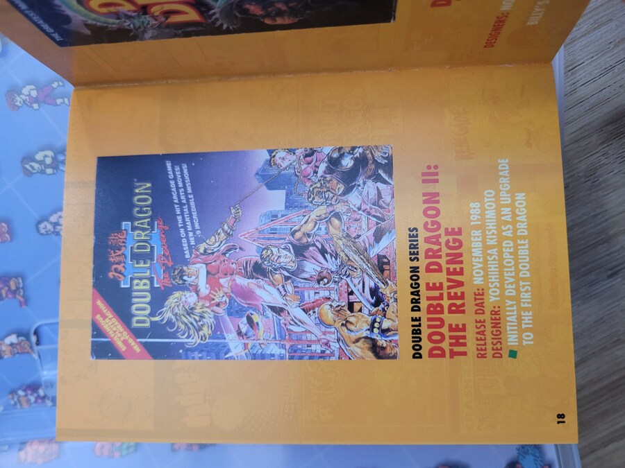 더블 드래곤 & 쿠니오군 -레트로 한정판-_30.jpg