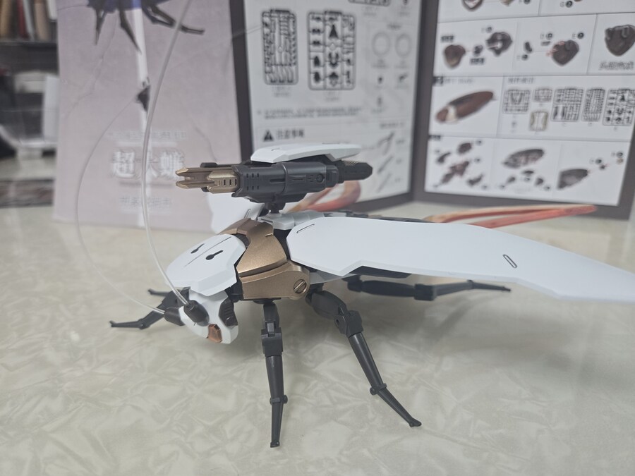 [로복스]광둥성 바퀴벌레_8.jpg