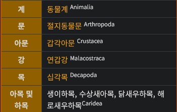 아직도 잘못아는 사람들이 많은 새우 관련 내용_2.png