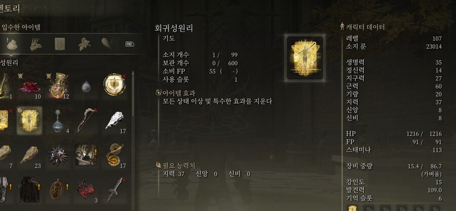 엘든링 뉴비 입니다 - 회귀성원리_1.png