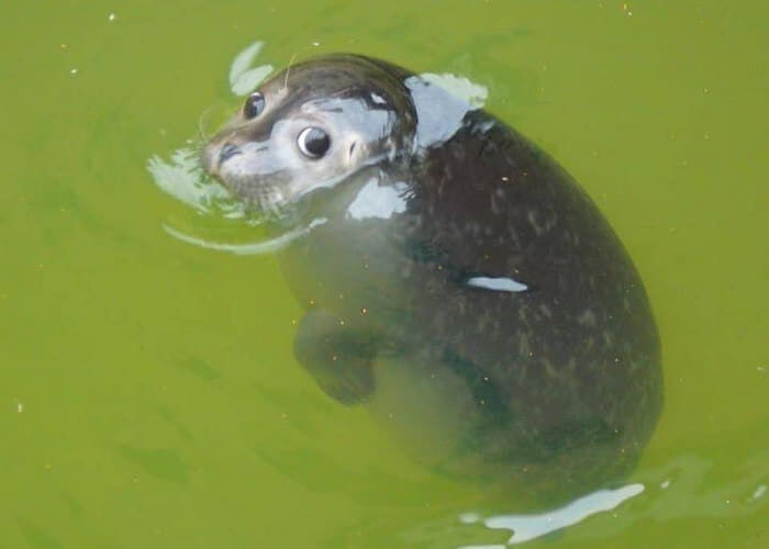 히히 이 작품들을 추천하면 유게이들이 좋아하겠지?_8.jpg