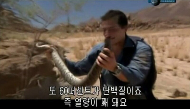 주작을 해도 논란이 크지 않았던 사람.jpg_6.png