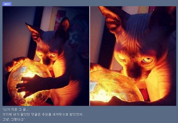게시글 멋대로 지우면 안되는 이유.jpg_1.png