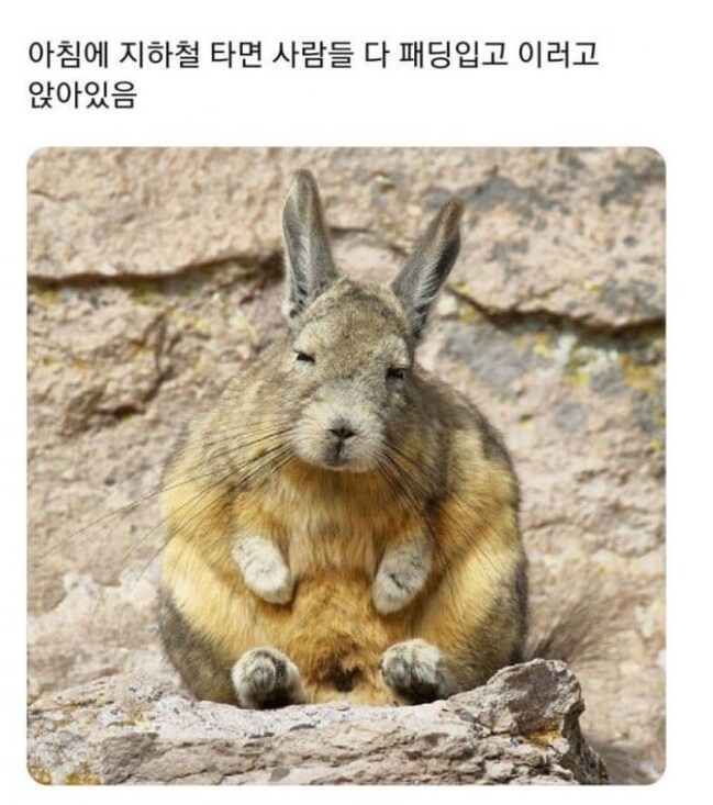 요즘 평일 아침에 지하철 타면 흔히 보이는 풍경_1.png