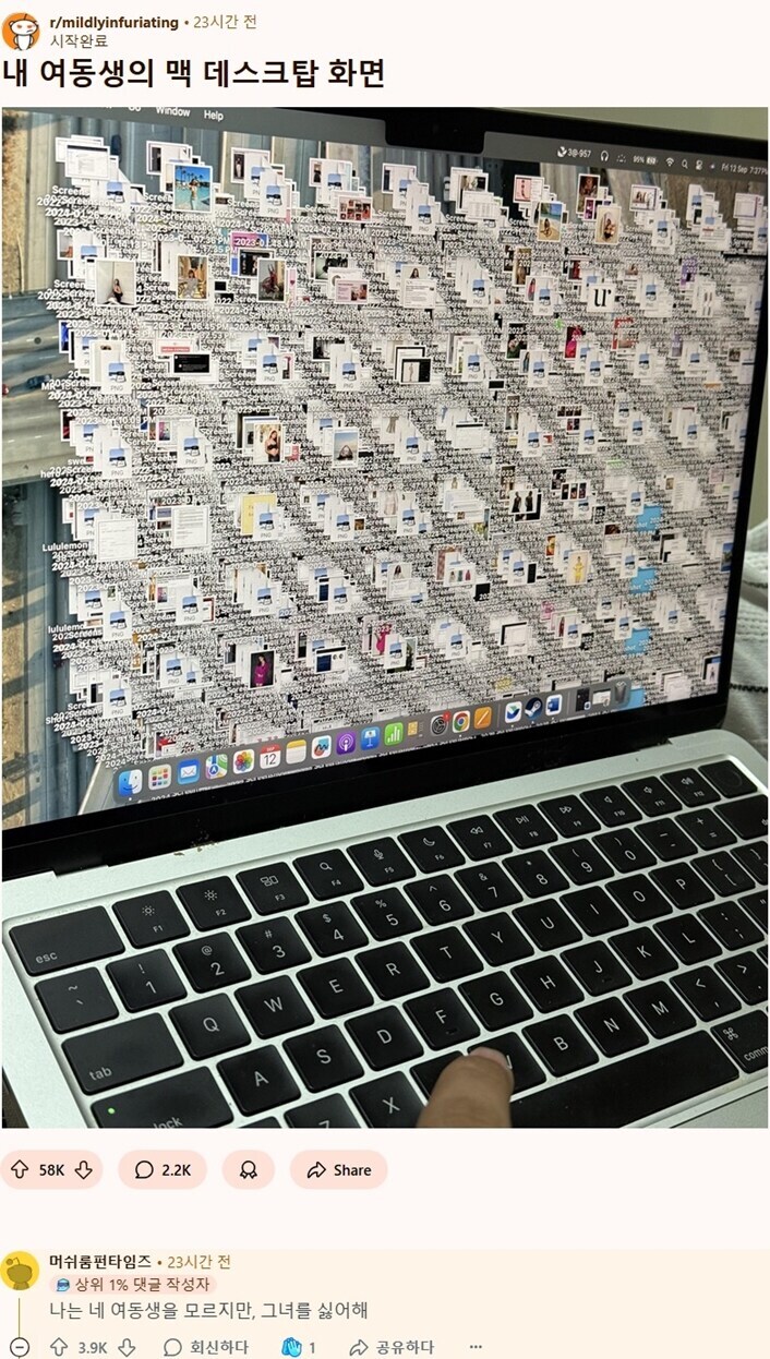 레딧에 올라온 여동생 맥북의 바탕화면.jpg_1.jpg
