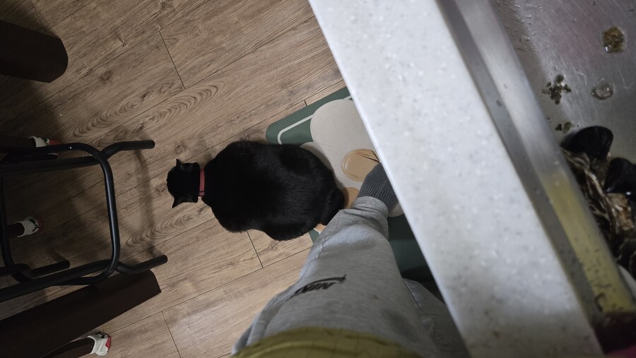 야옹이랑 먹는 석화가리비찜_8.jpg