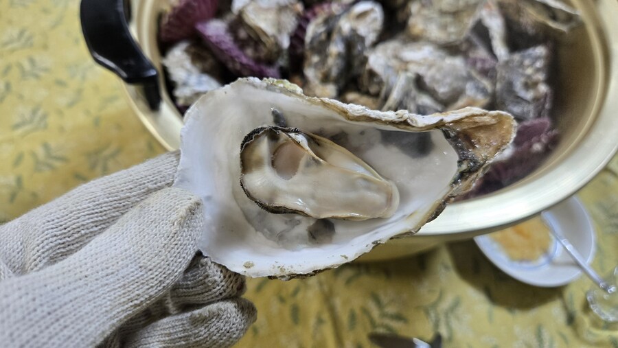 야옹이랑 먹는 석화가리비찜_26.jpg