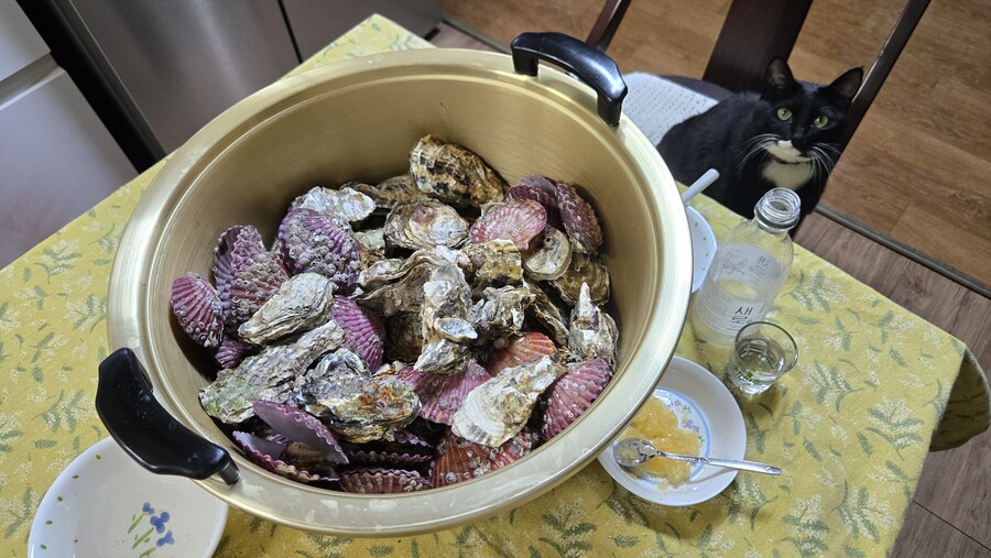 야옹이랑 먹는 석화가리비찜_35.jpg