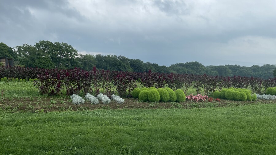 음식사진과 풍경사진 모음_9.jpg