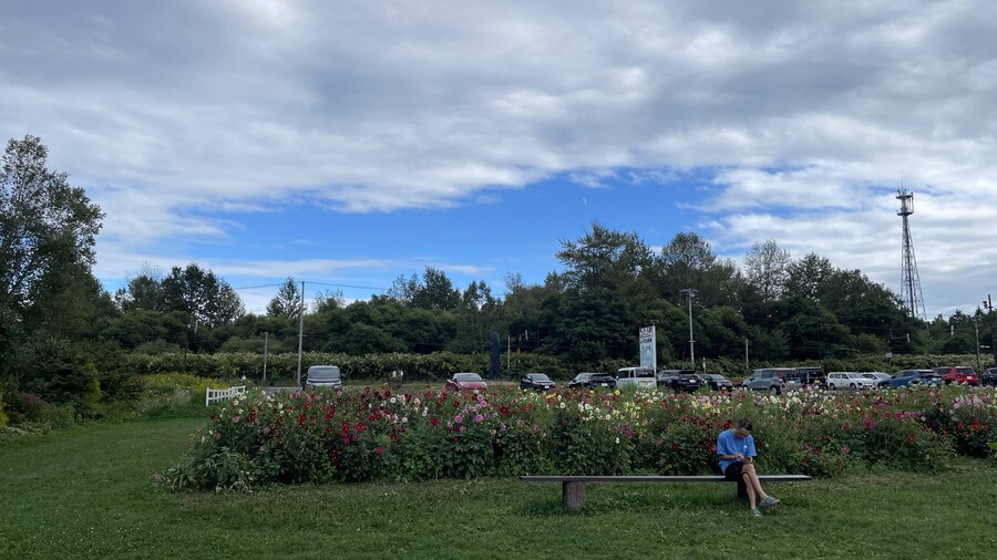 음식사진과 풍경사진 모음_13.jpg