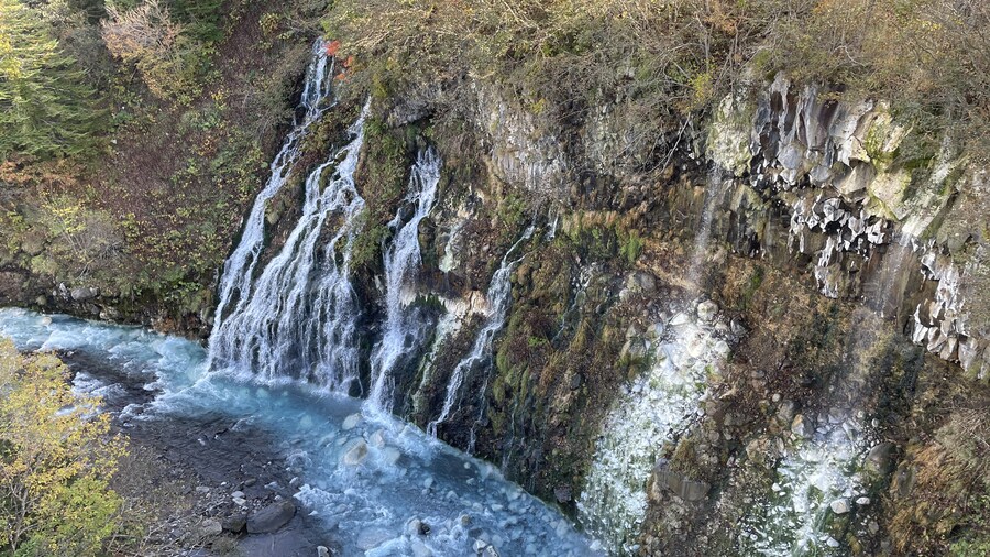 음식사진과 풍경사진 모음_25.jpg