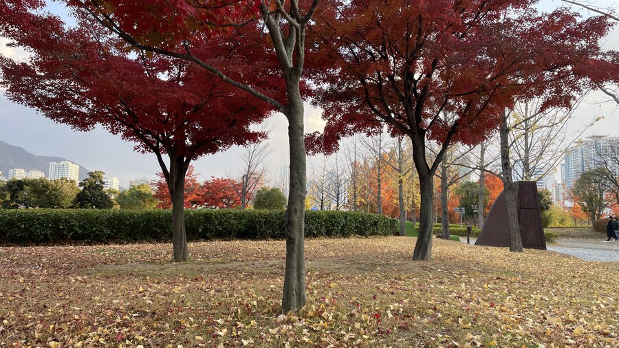 음식사진과 풍경사진 모음_35.jpg