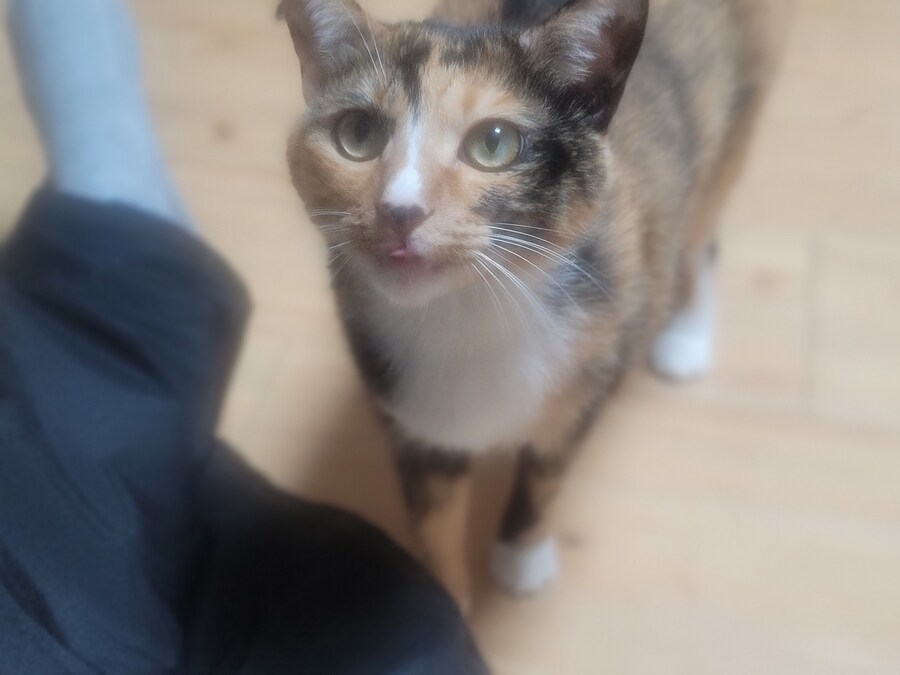 와 새벽에 영하9도.. 배달 힘드네요.._2.jpg