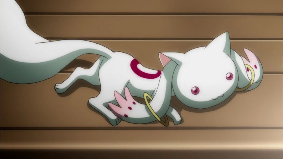 [마도카 외] 엔비 VS 큐베의 2026년 새해 인사_10.jpg