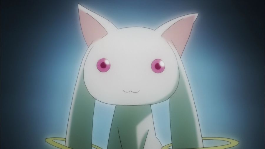 [마도카 외] 엔비 VS 큐베의 2026년 새해 인사_59.jpg