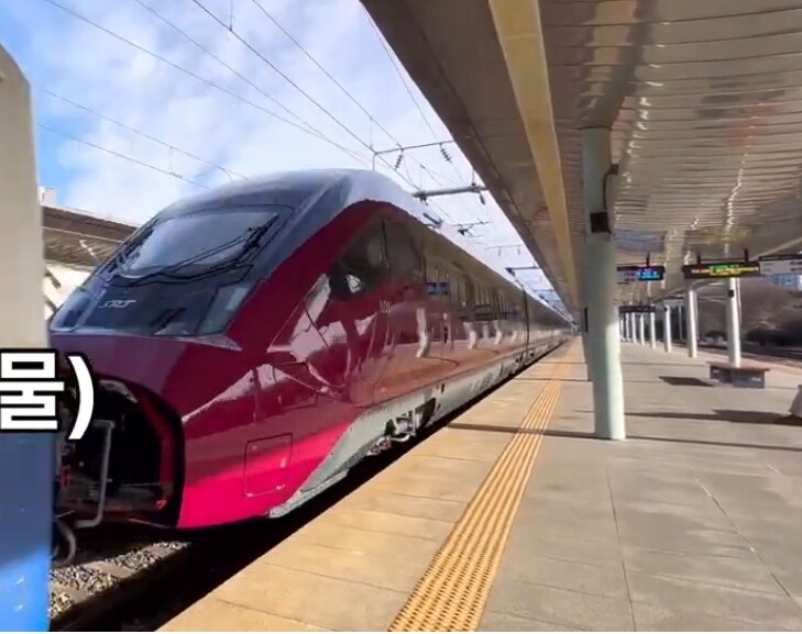 SRT 다라이 에디션.jpg_1.png