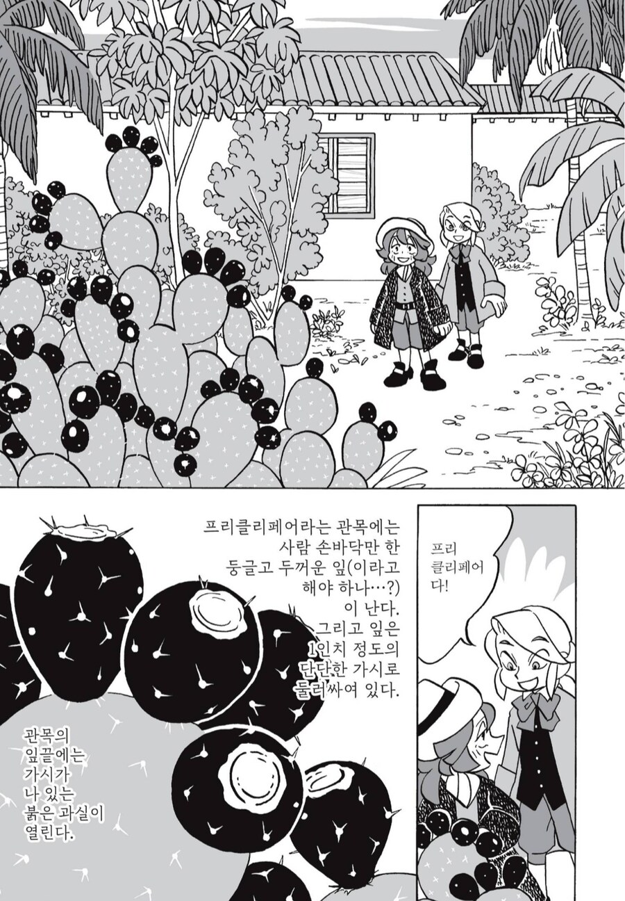 선인장열매 먹는 만화_2.png