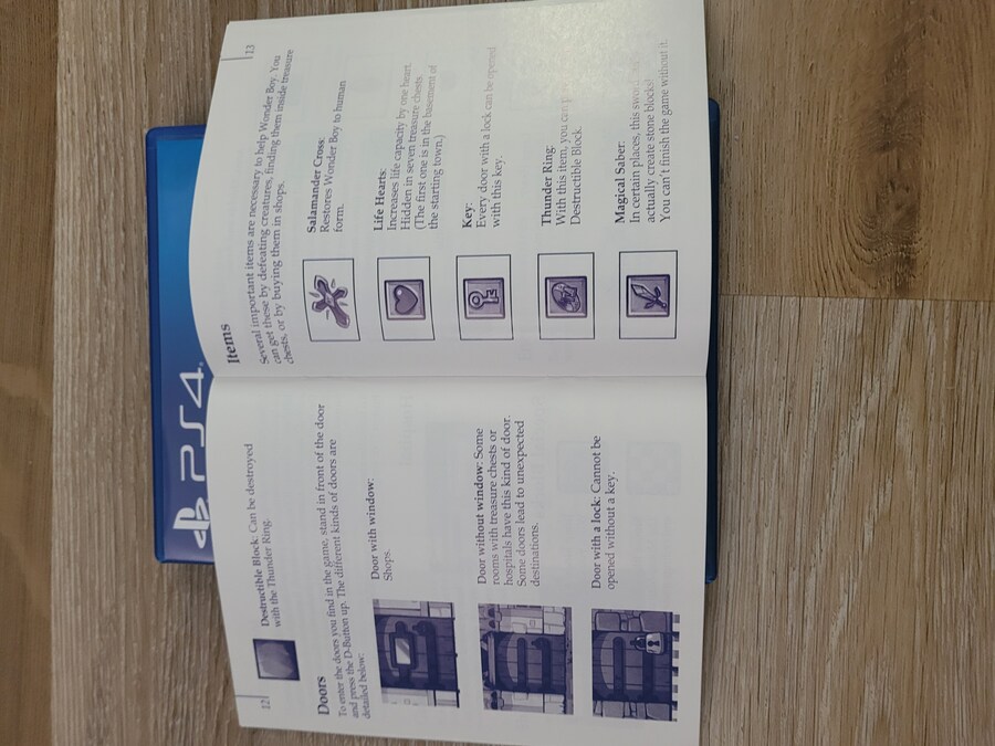 원더보이 -드래곤즈 트랩- (한정판)_11.jpg