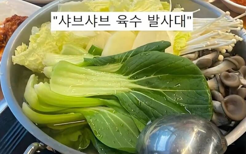 청경채의 모욕적인 별명들_2.jpg