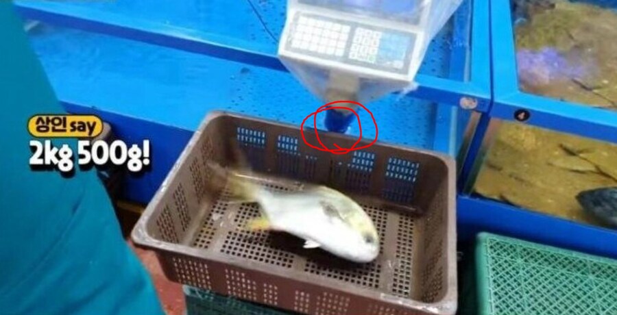 수산시장 그렇게 욕먹어도 득달같이 저울치기 하는 이유_2.png