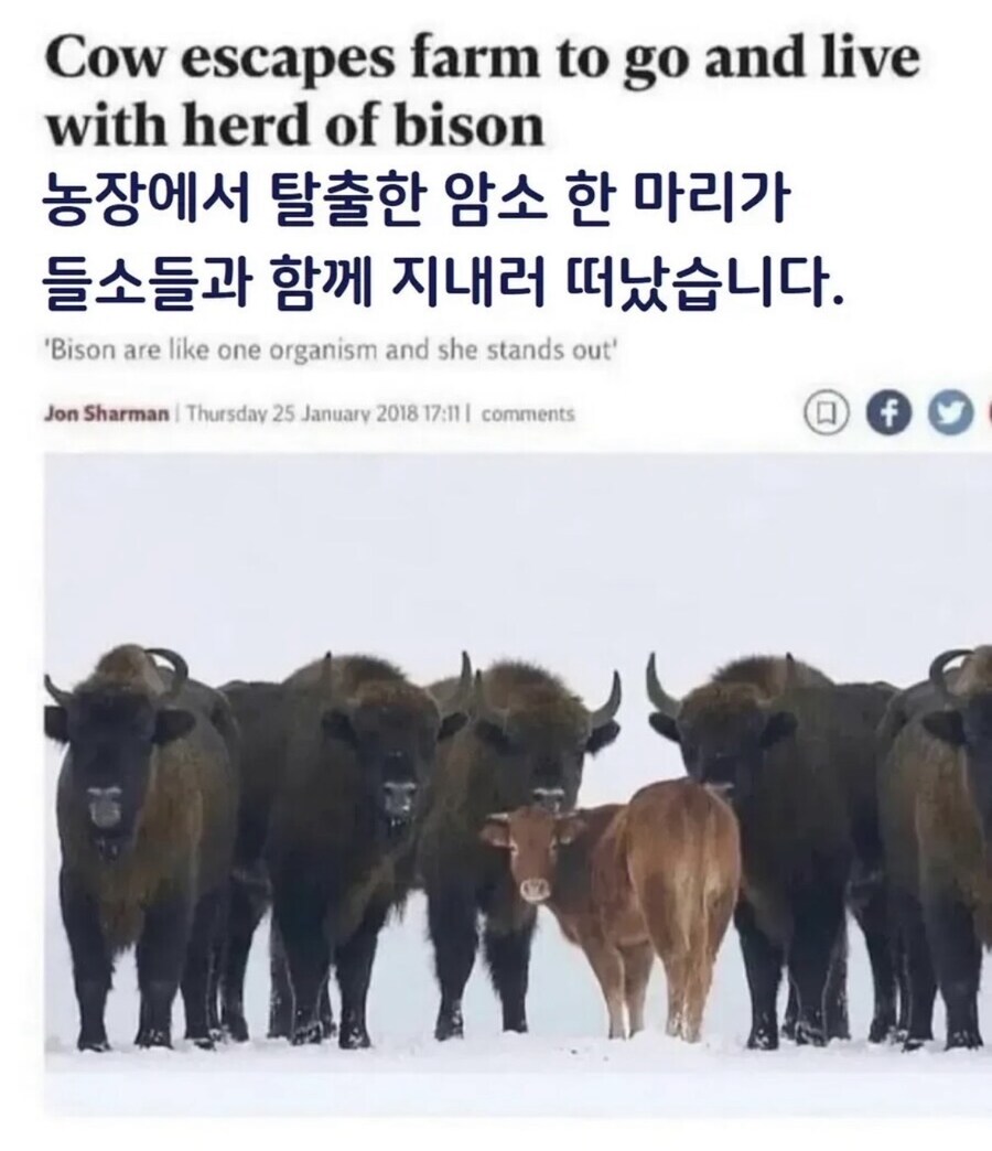 ‘미안해…. 나, 이젠 예전으로 못 돌아가….’_1.jpg