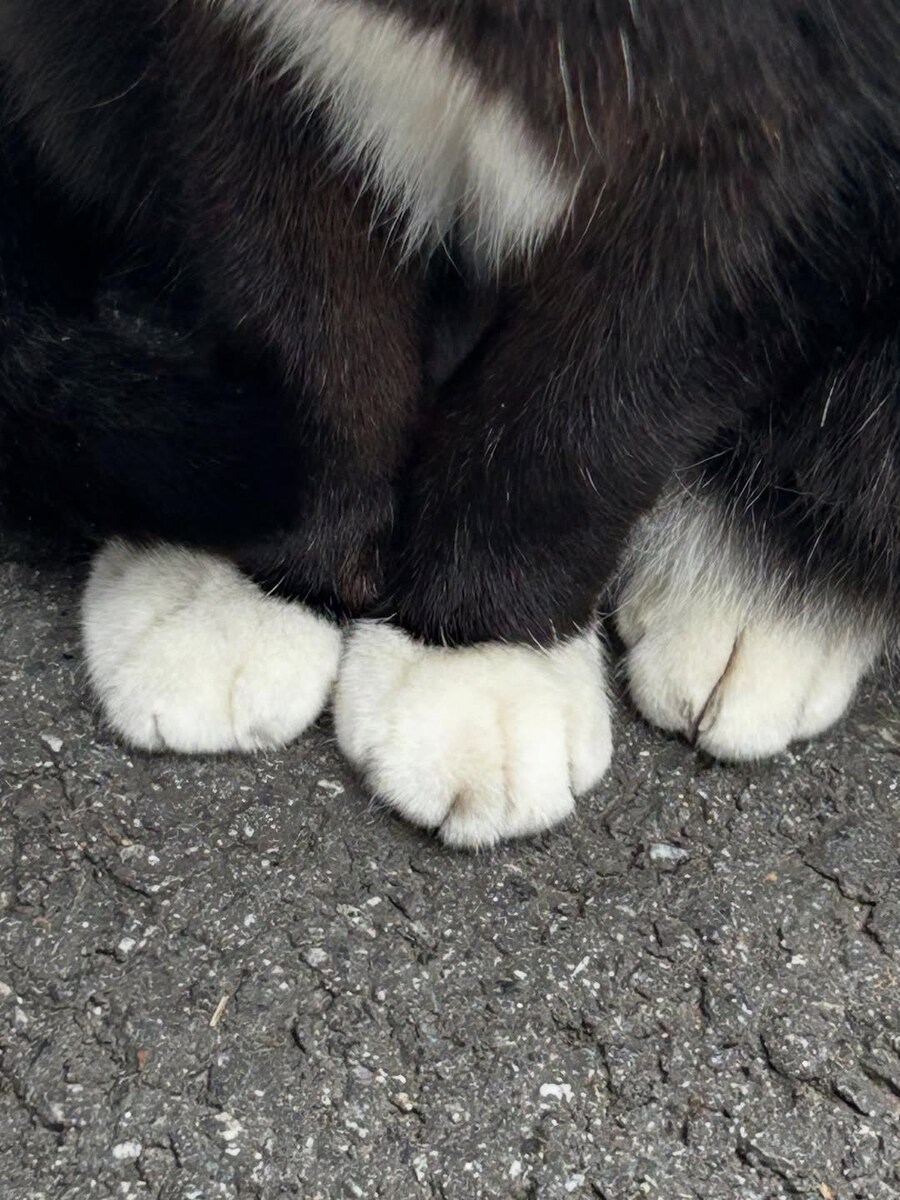 2025.01.02 아이유 인스타그램(bye 2025)_10.jpg