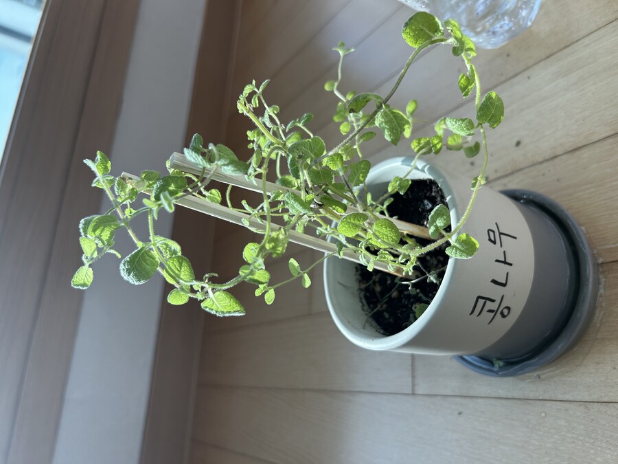 2025.01.02 아이유 베리즈 포스트(인스타 미공개 컷)_18.jpg