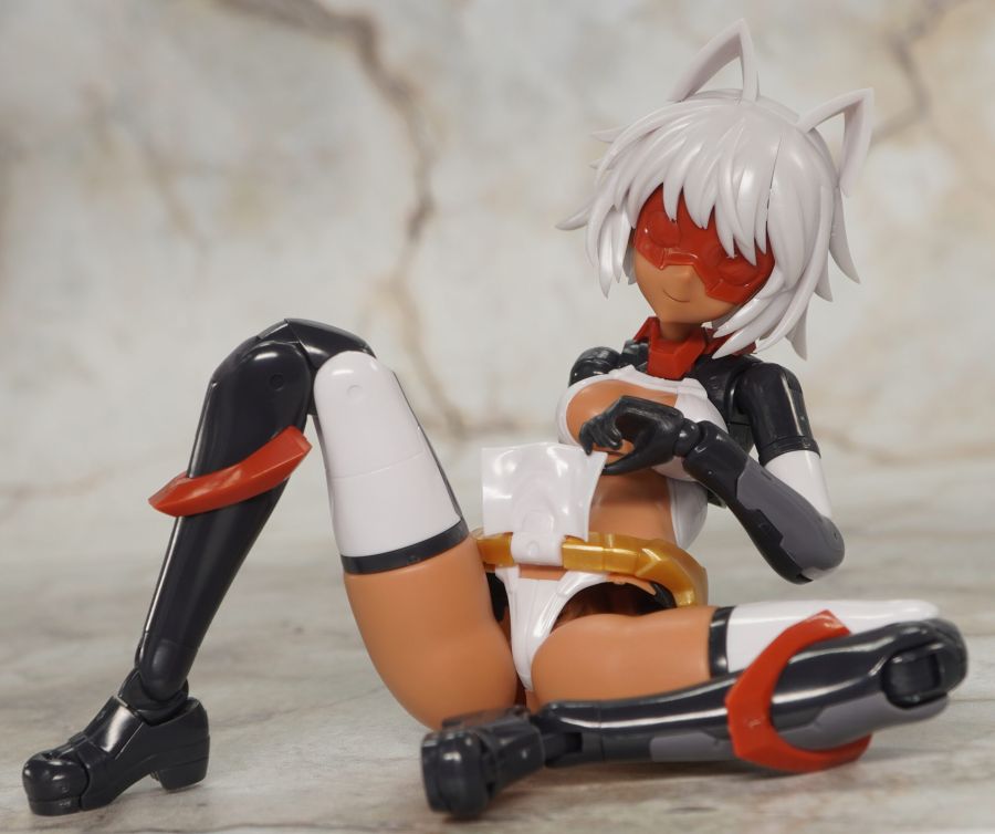 [코토부키야] 프레임 암즈 걸 신겐 해외 리뷰_51.jpg