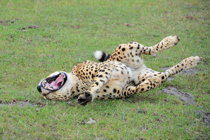 베이커리 가게 점주분들은 개콘 되게 싫어 했다더라_2.jpg