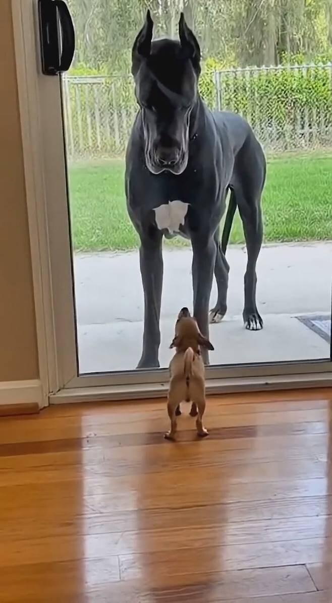 여친앞에서 허세부릴려고 시비건 인간_2.jpg