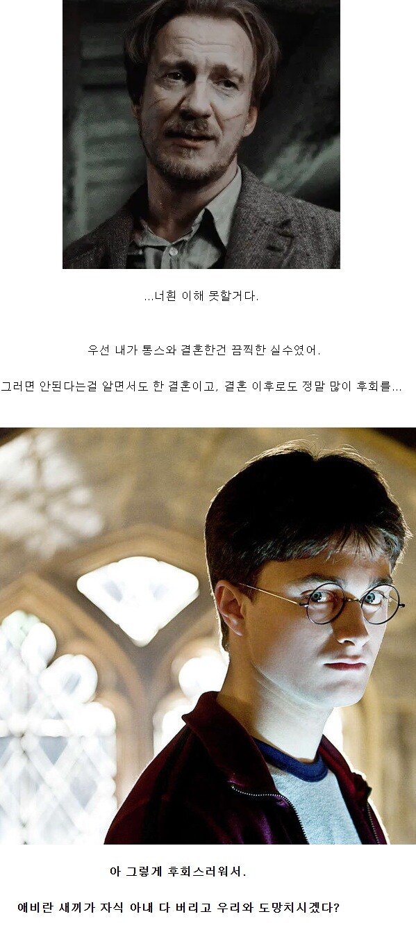 해리포터) 볼드모트의 비참한 과거에 분노하는 해리_9.jpg