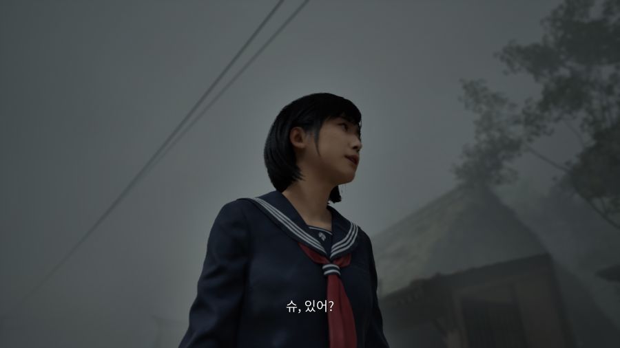 사일런트 힐 f_23.png