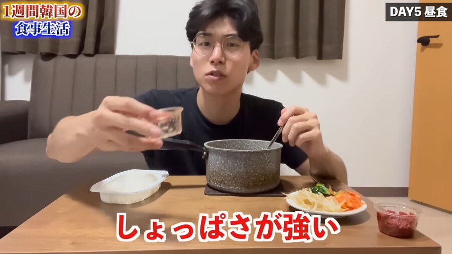 일본인 유튜버가 1주일간 한국음식 먹어본 감상_121.png