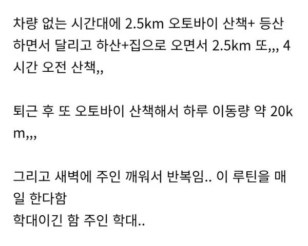 학대 논란이 있는 허스키 견주_3.webp