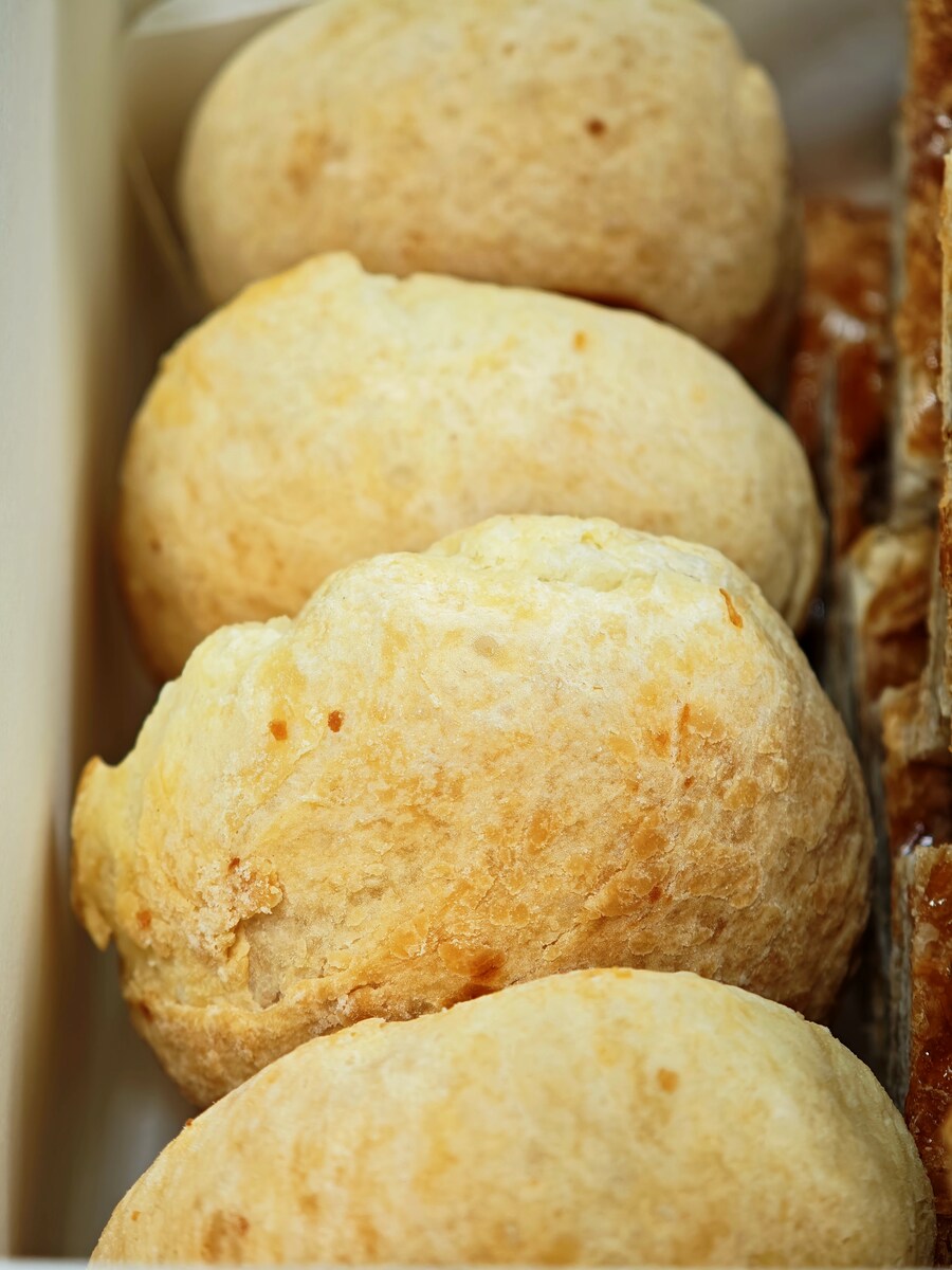 엘리게이터, 밤만쥬_5.jpg