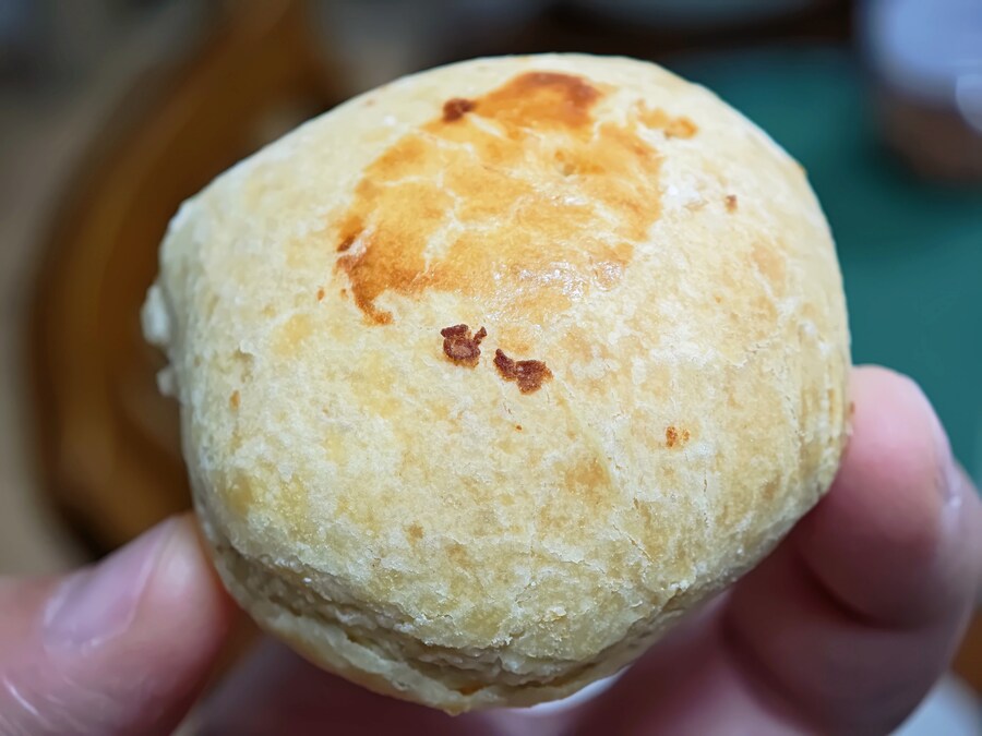 엘리게이터, 밤만쥬_7.jpg