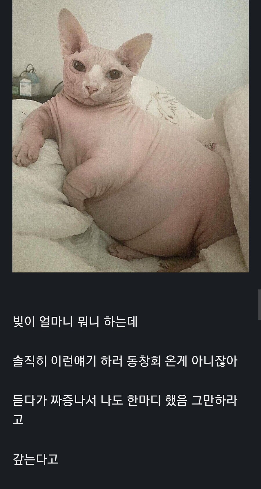 10년만에 동창회 갔는데 다들 돈얘기만 함_1.jpg