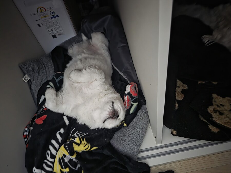 하이브리드 빌드 3종_1.jpg