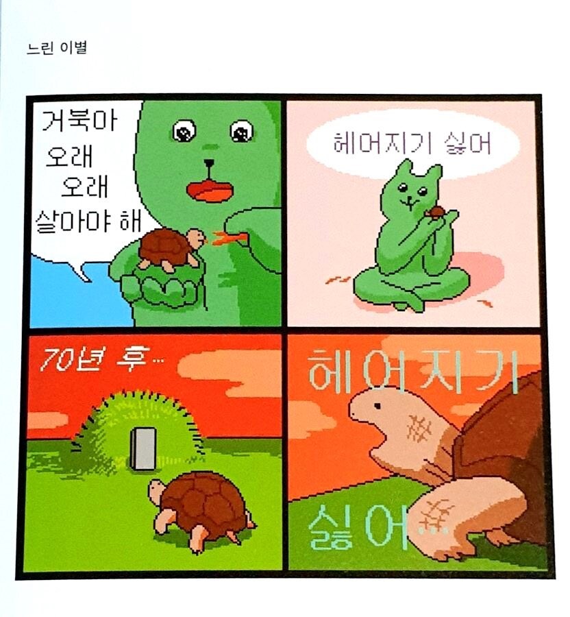 거북이 함부로 키우면 안되는 이유_1.jpg