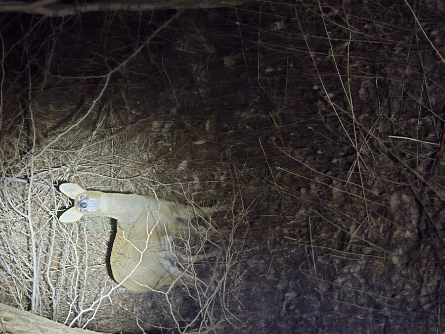 의외로 회사에서 밤에 일하면 볼수있는것_3.jpg