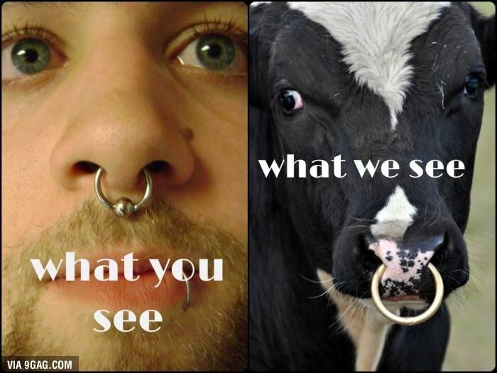 [약혐] 서양에서도 불호인 사람 엄청 많은 거.jpg_4.jpg