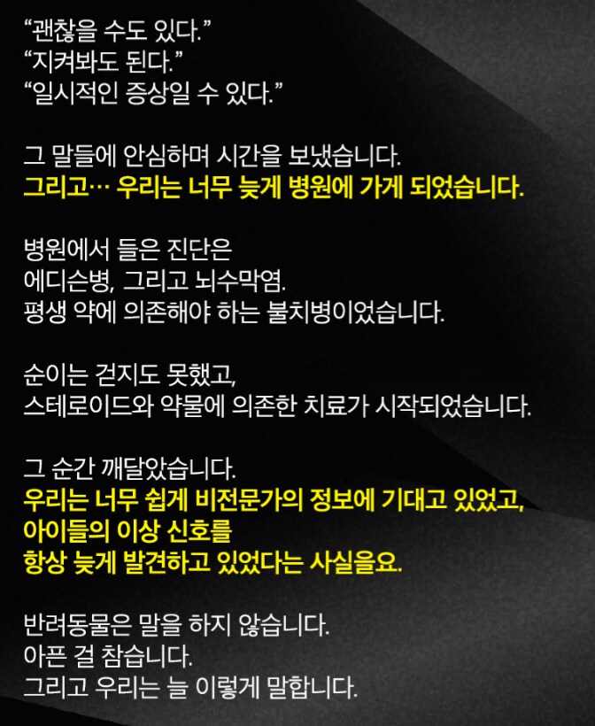 어느 반려동물 상품 회사에서 AI 수의사를 만든 이유.JPG_3.png