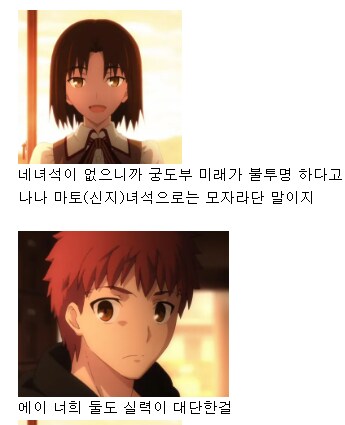 FATE)투영마술말고 에미야 시로의 진짜 재능중 하나인 것_5.png