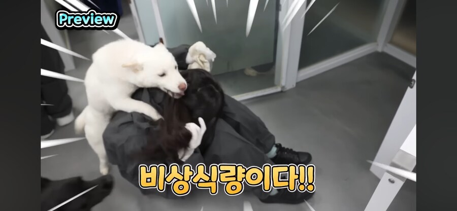 원신 페이몬 성우 근황_1.png