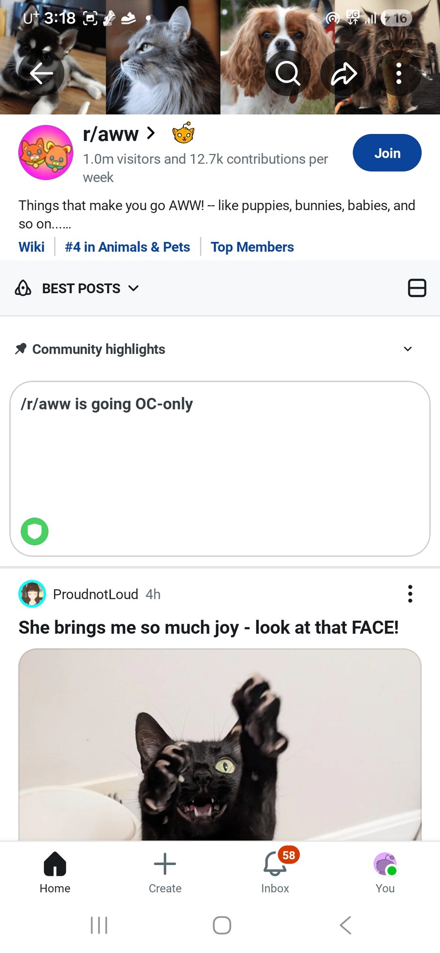 레딧을 알차게 사용하는 방법.jpg_2.jpg