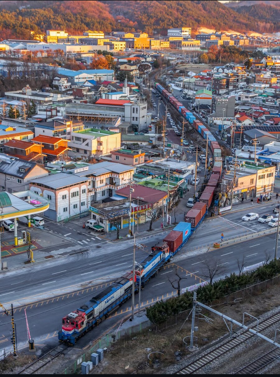 대전에서 볼수있는거(영상추가)_1.png